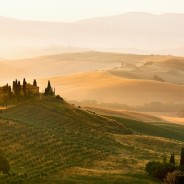 Tuscany Vs. Provence
