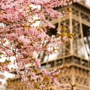 100 Reasons To Visit Europe