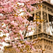 100 Reasons To Visit Europe