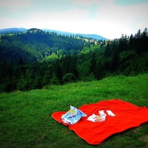 What’s Hot This Summer: Picnics